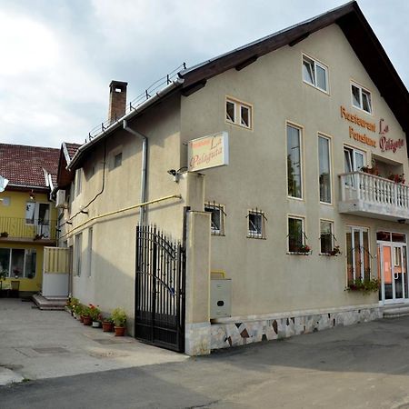 Pensiunea La Palaguta Baia Mare Extérieur photo