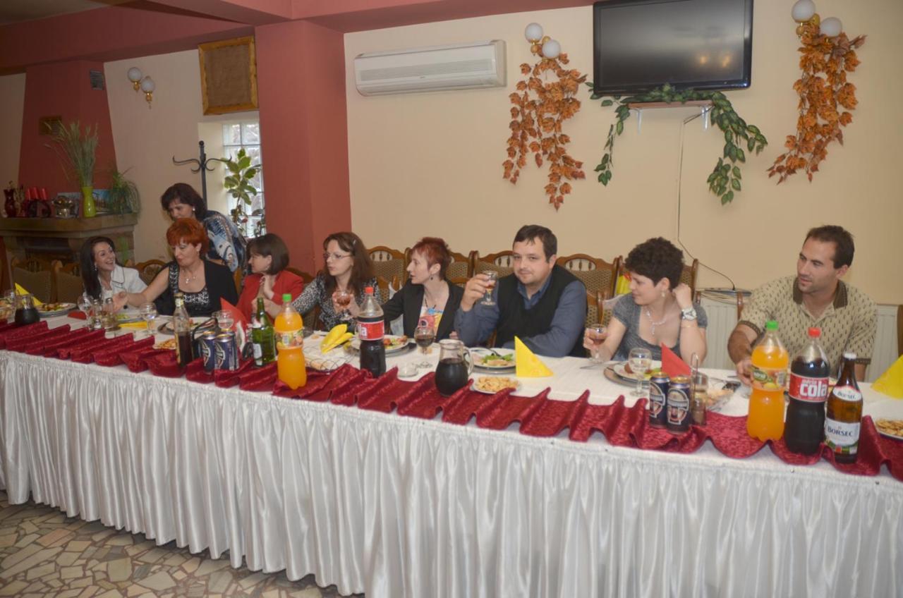 Pensiunea La Palaguta Baia Mare Extérieur photo