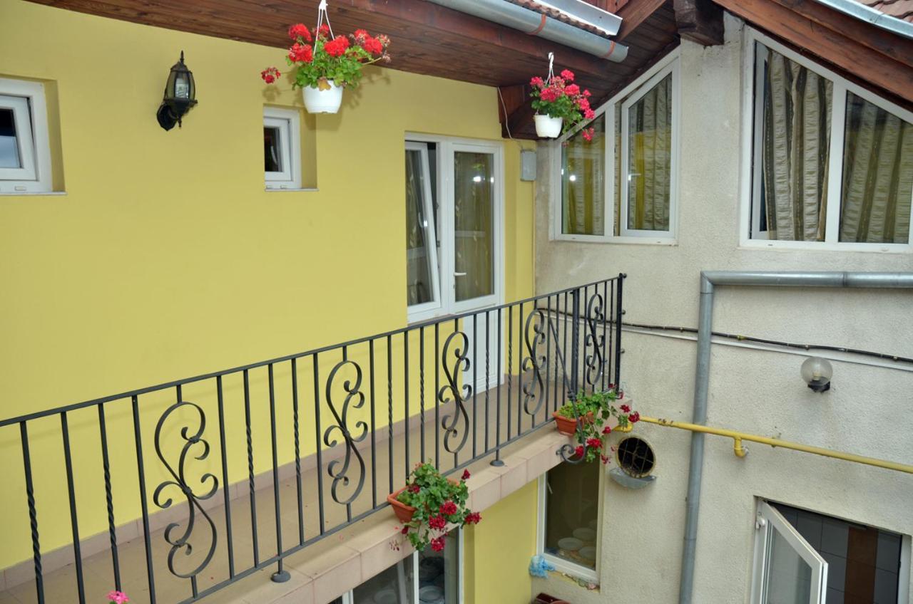 Pensiunea La Palaguta Baia Mare Extérieur photo