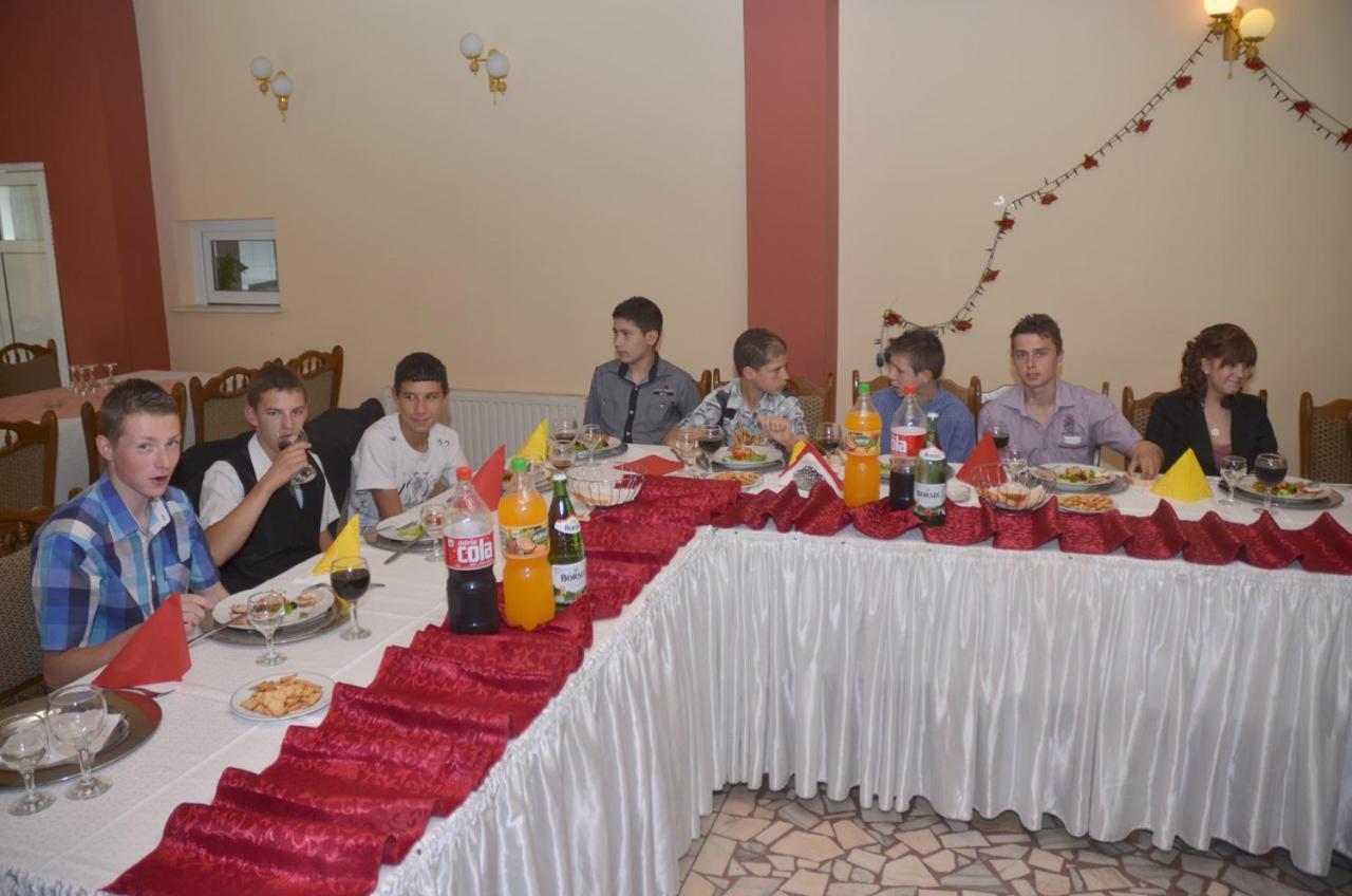 Pensiunea La Palaguta Baia Mare Extérieur photo