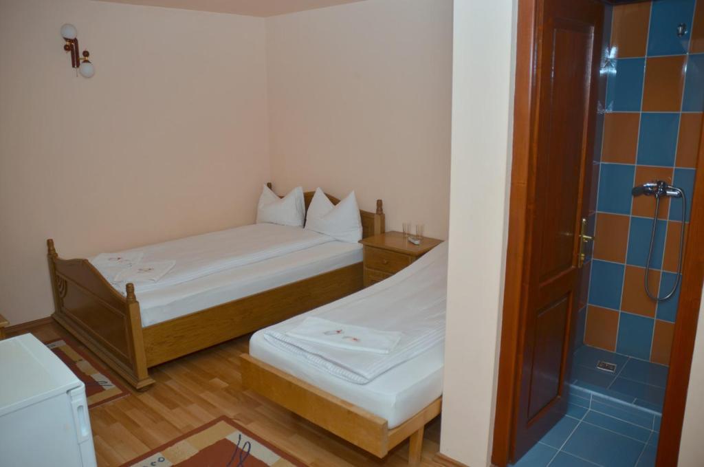 Pensiunea La Palaguta Baia Mare Chambre photo